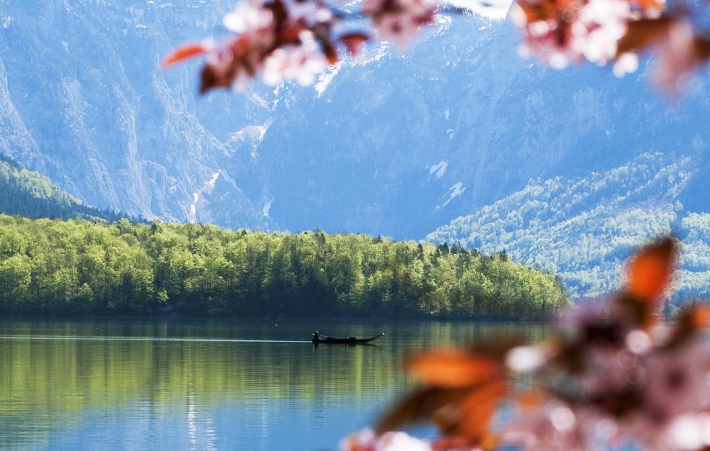 Park Am See Obertraun Exteriör bild